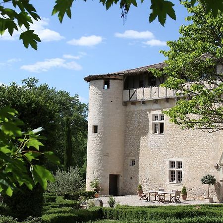 Chateau De Mayragues Castelnau-de-Montmiral Exterior foto