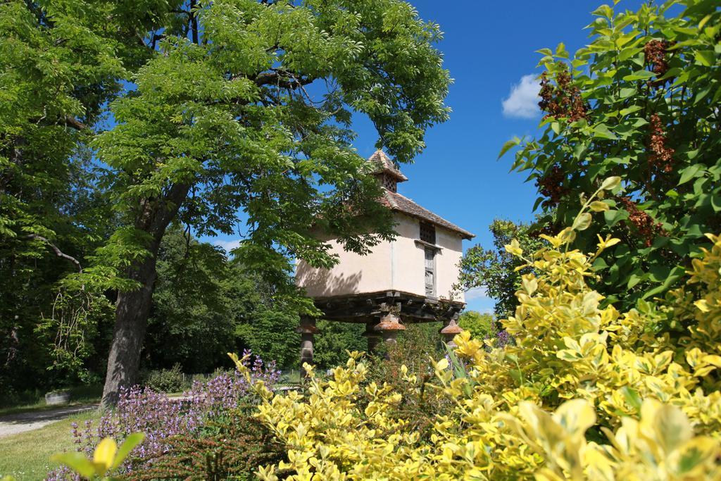 Chateau De Mayragues Castelnau-de-Montmiral Exterior foto